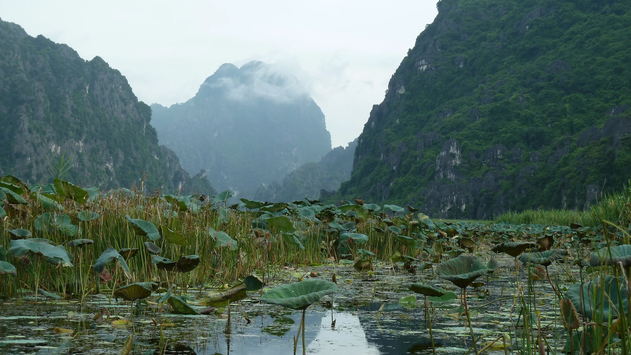  Van Long Nature Reserve, Vietnam 