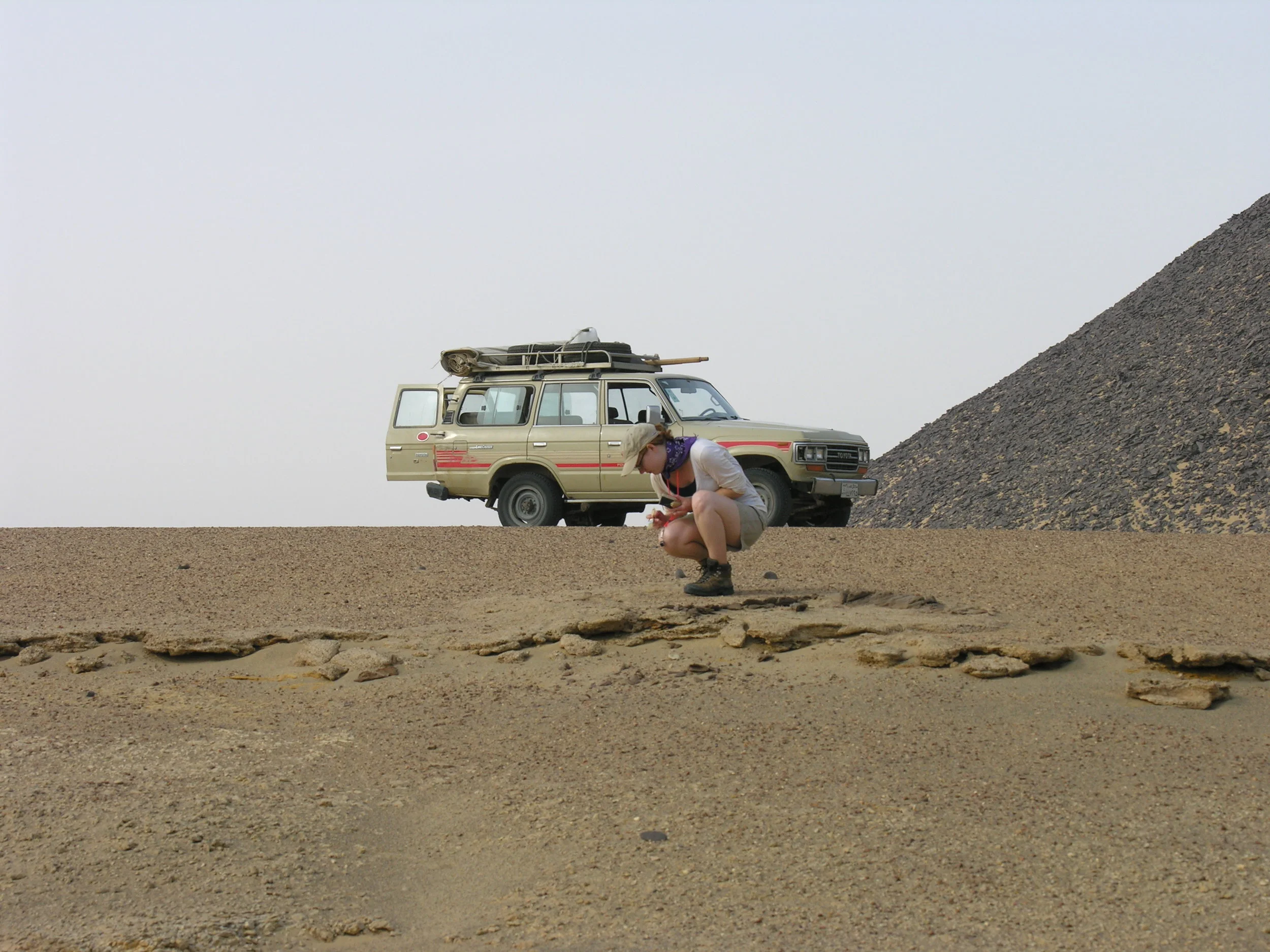  Searching for fossils in the Fayum Depression, Egypt. 