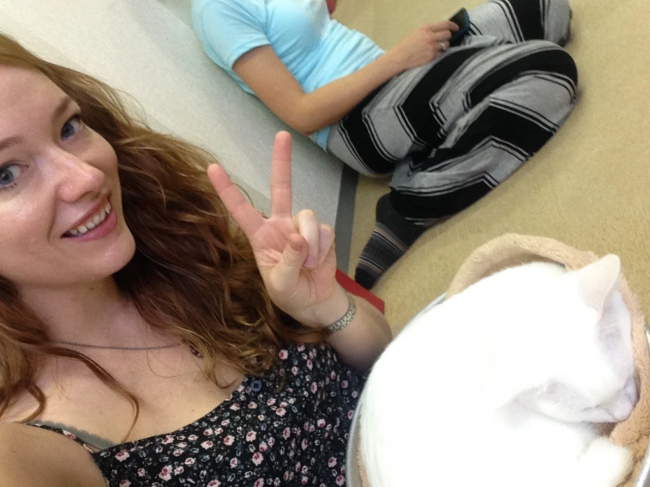  Enjoying a cat cafe in Tokyo, Japan. 