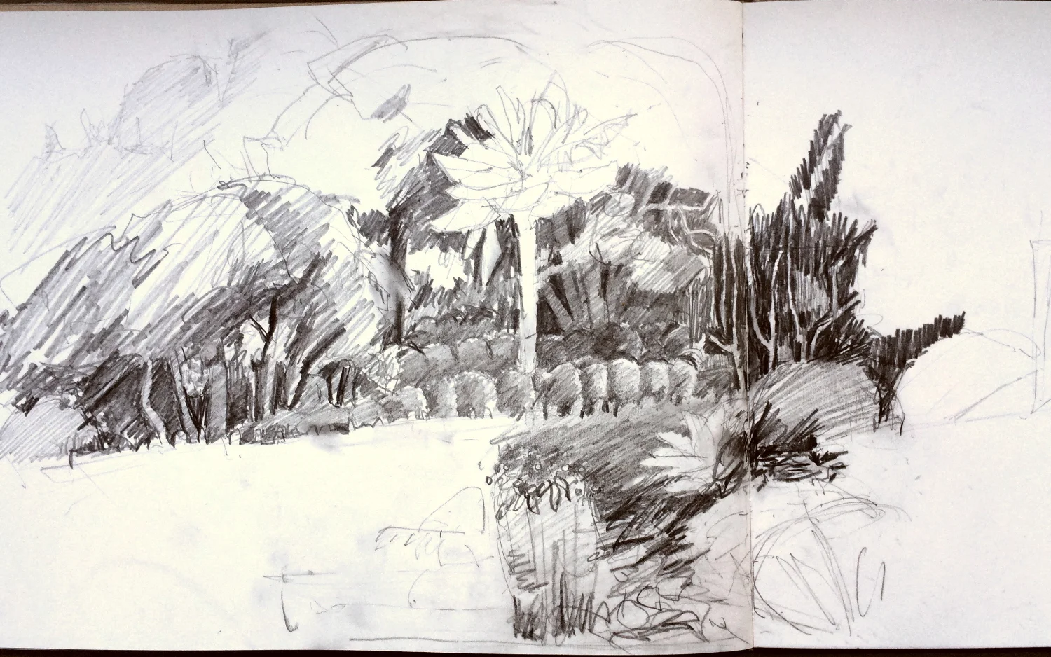 Ella Clocksin (2016) early stage of sketchbook drawing at Overbecks National Trust garden.