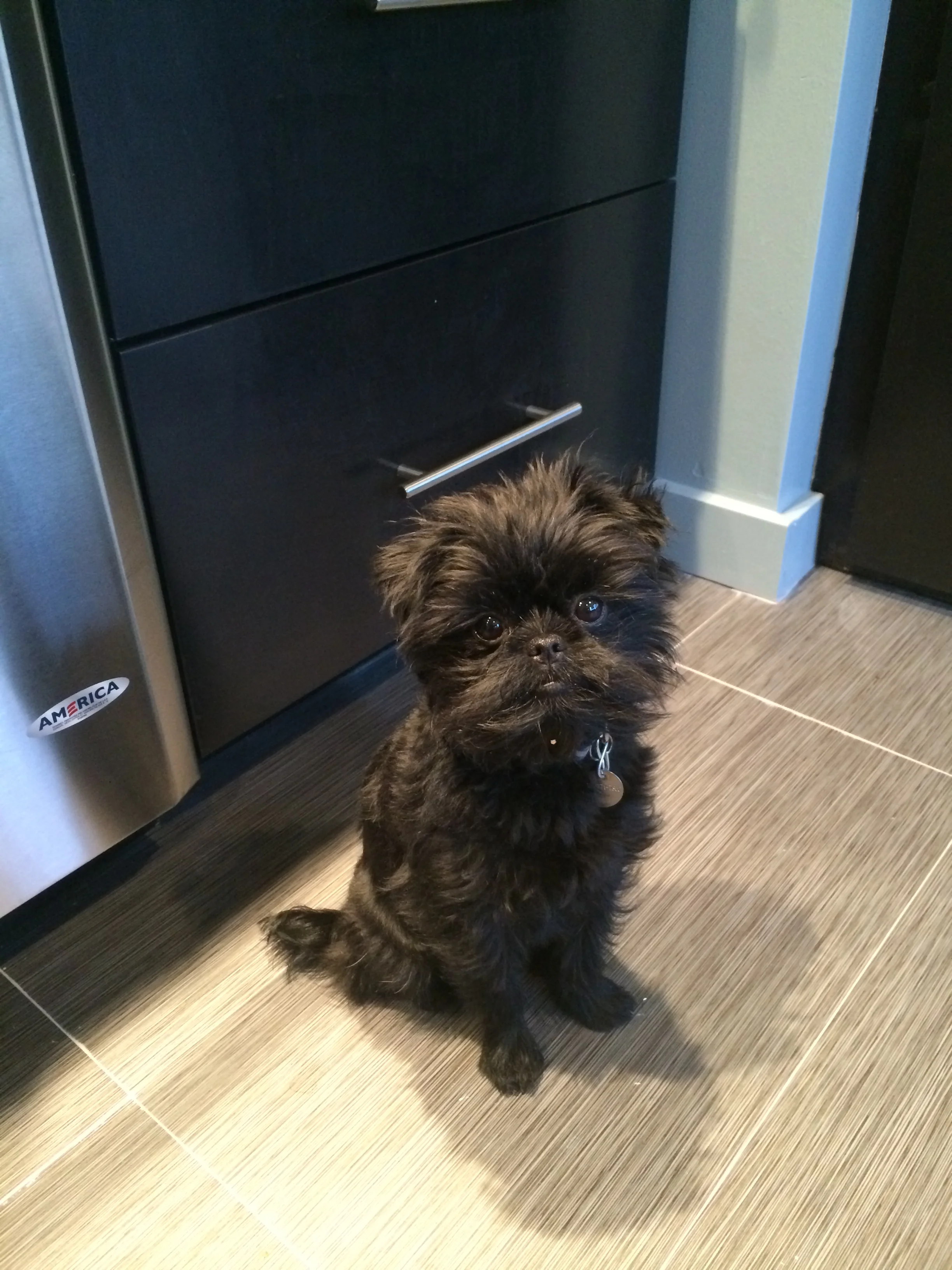 Markus April 16 013.JPG