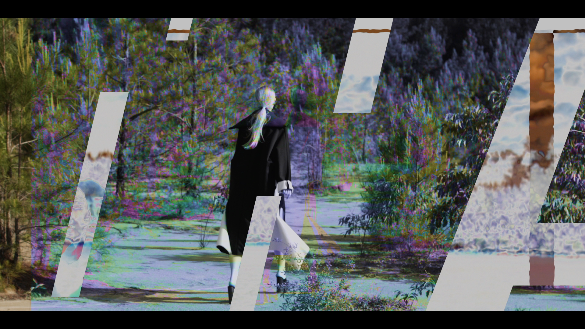 snapshot6.png