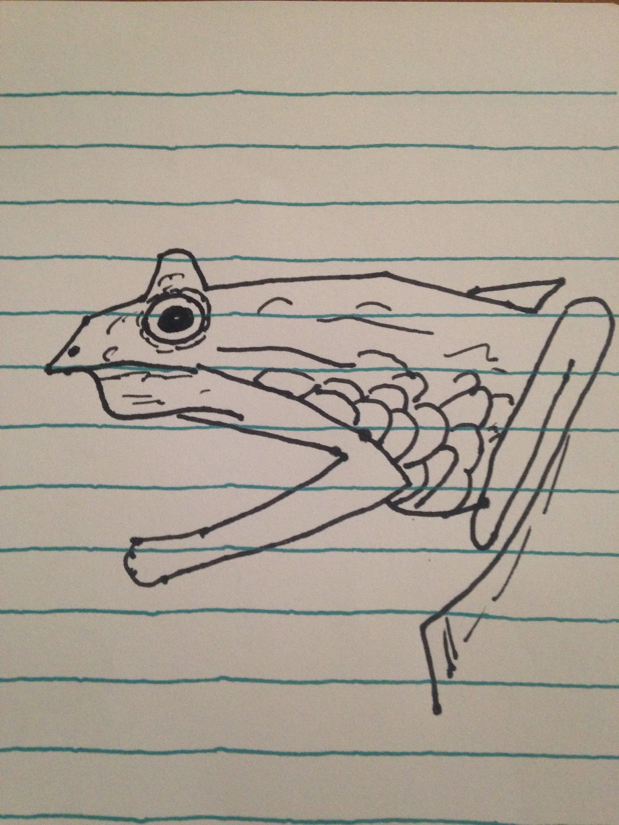 image.jpg