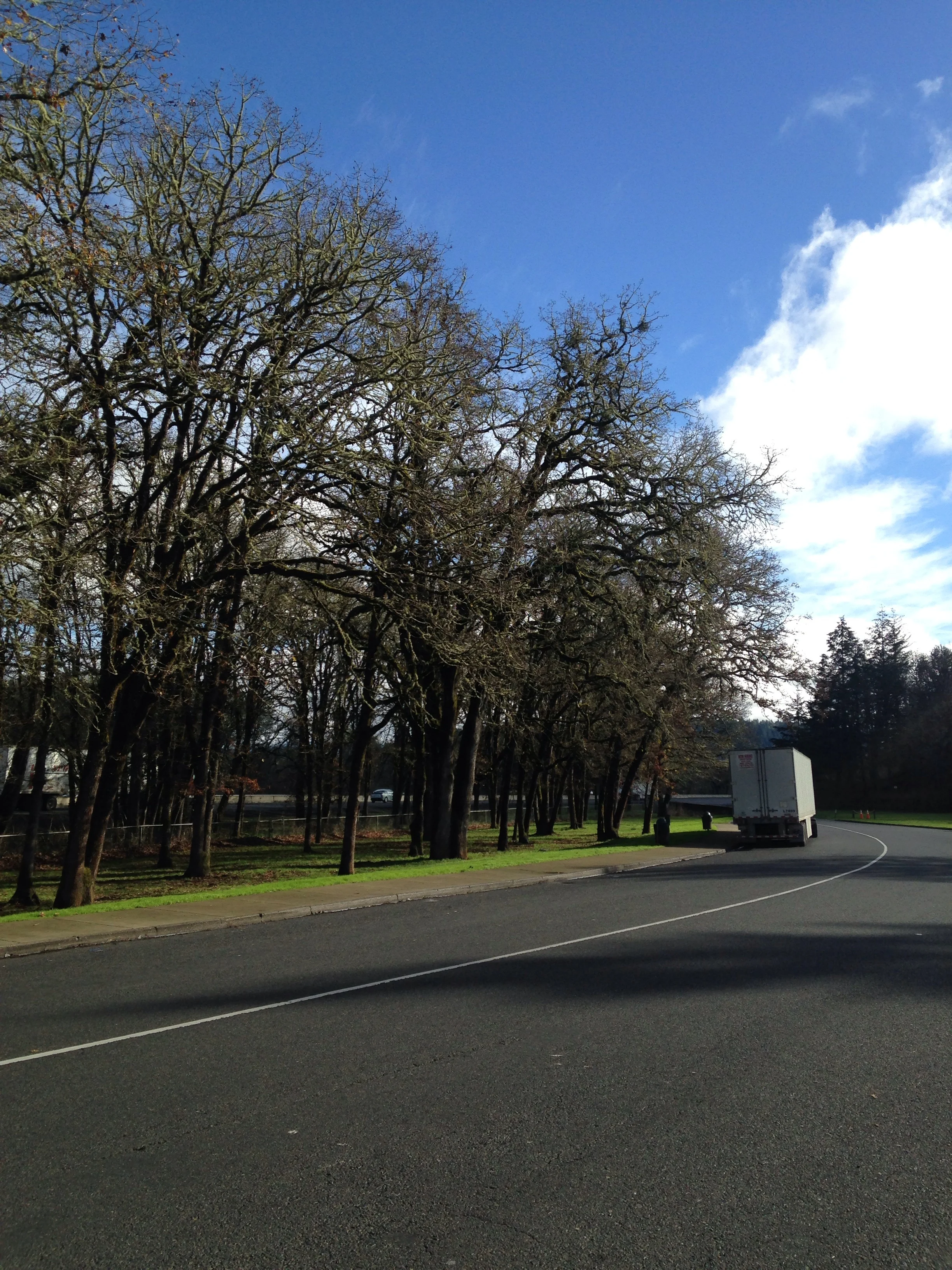 Rest area, Oakland, Oregon