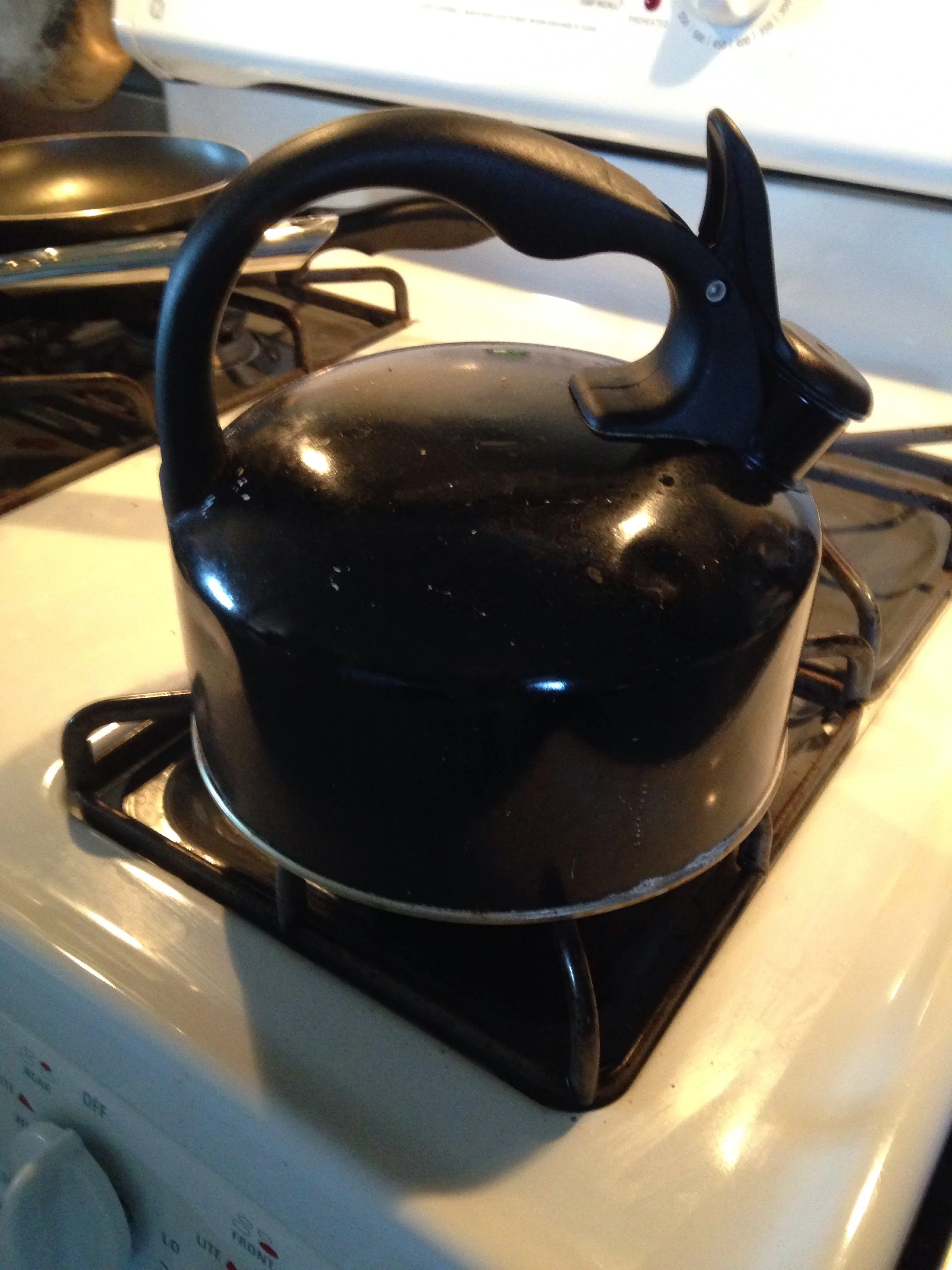 Tea kettle in shape of a rabbit; cabin, Wapiti, Wyoming, April 12, 2017,