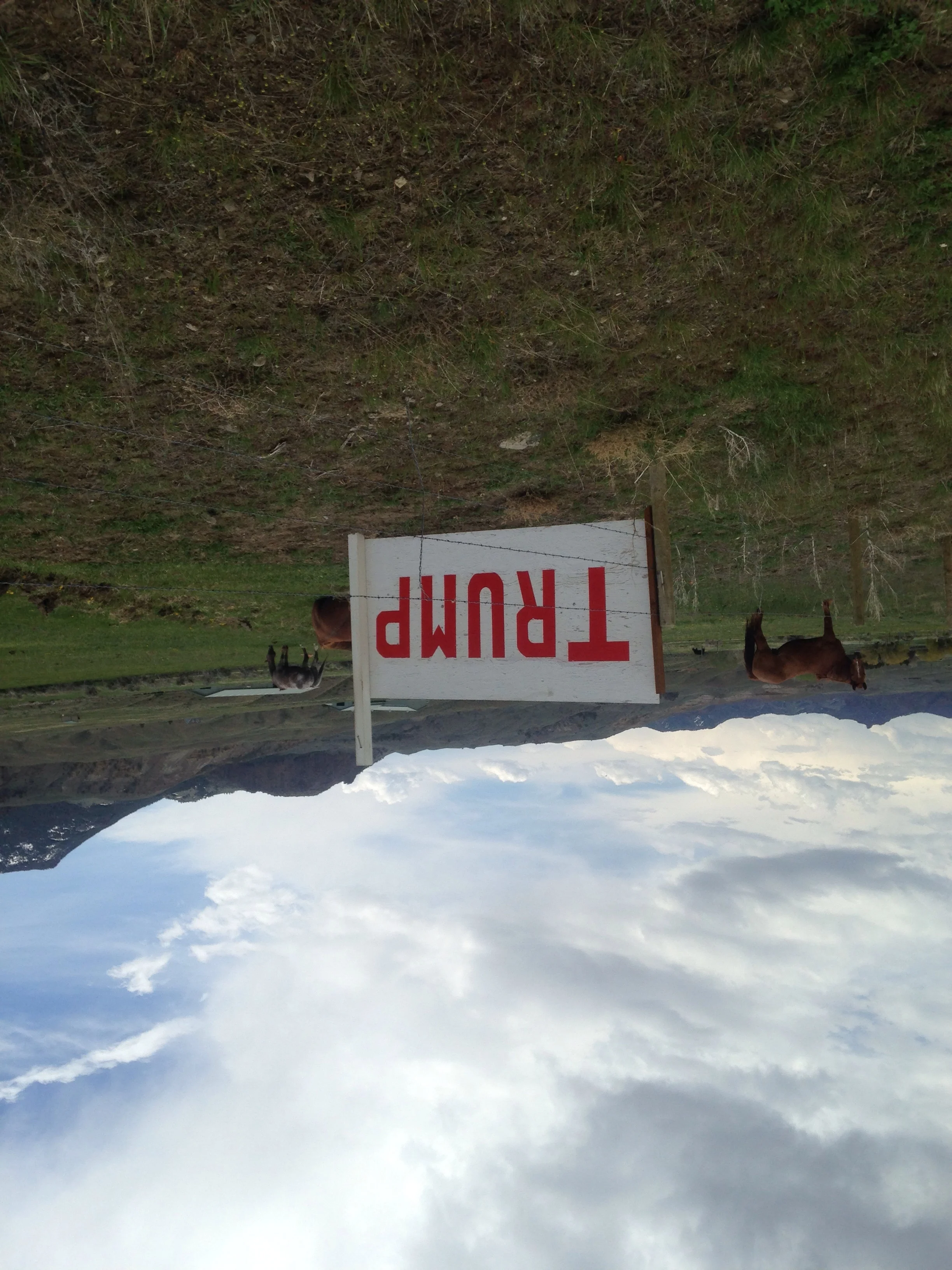 Handmade Trump sign, Hwy. 14, Wapiti, Wyoming, May 7, 2017.