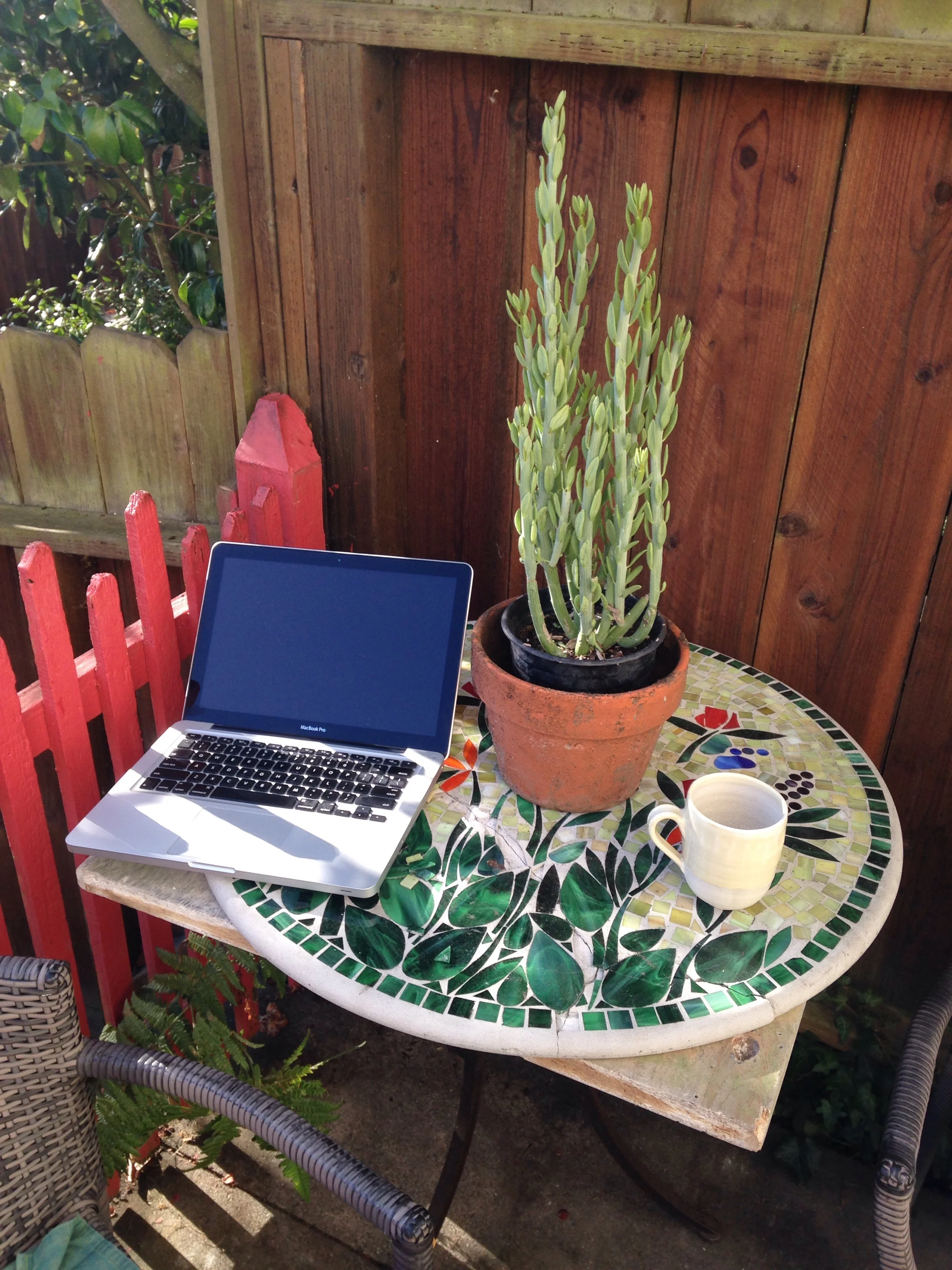Backyard, author's home, Richmond neighborhood, San Francisco, Ca. 8:30 a.m. August 31, 2017.