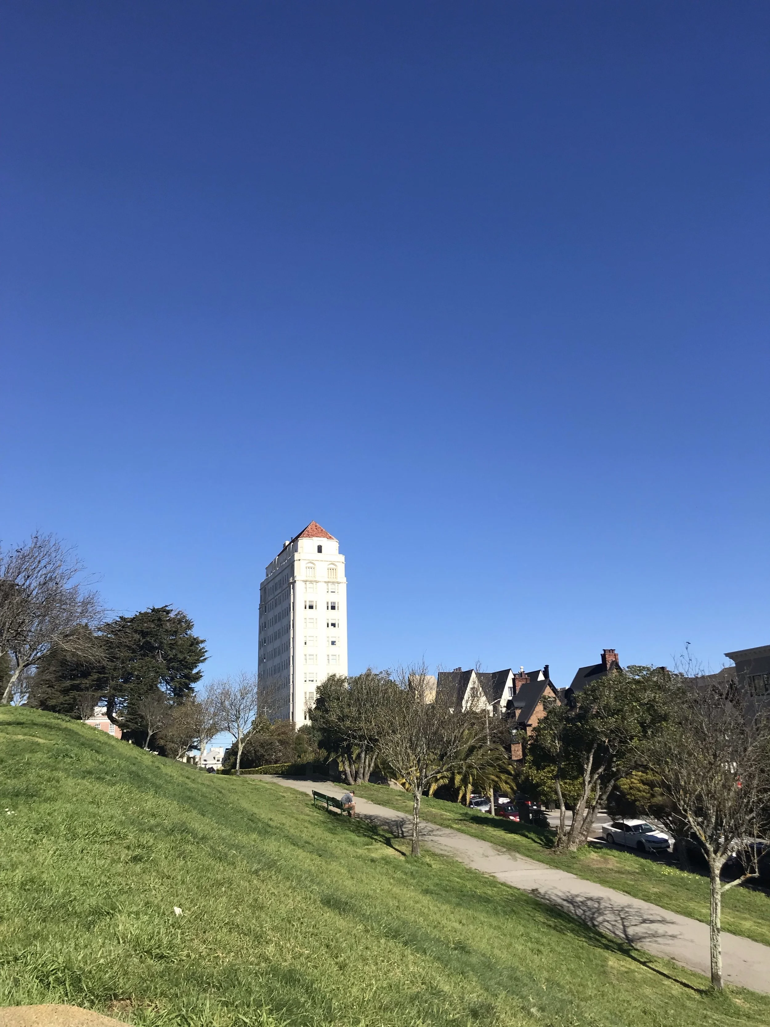 Alta Plaza Park, looking northeast, San Francisco, January 24, 2019. Photo by author.