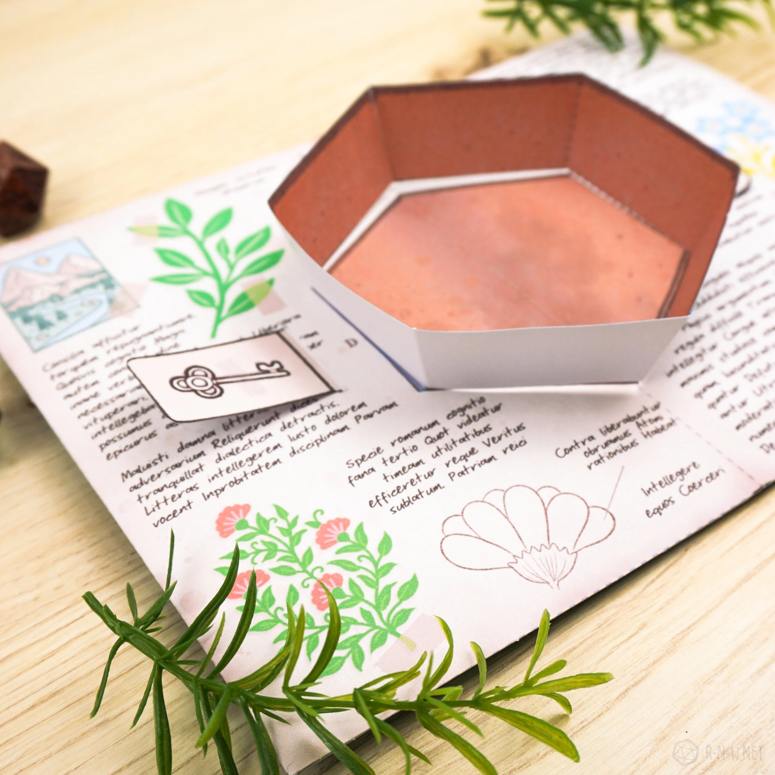 NATURE DICE TRAY-02.jpg