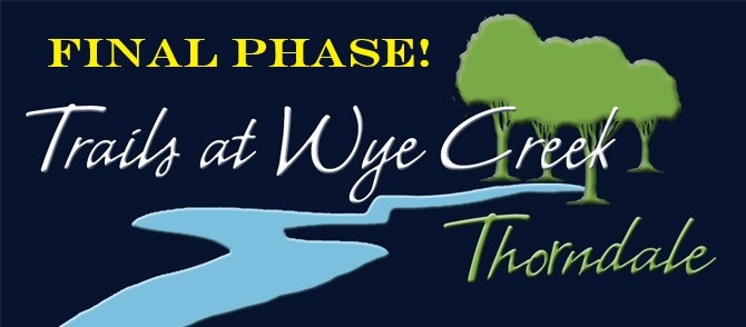 Twc+Final+phase.jpg