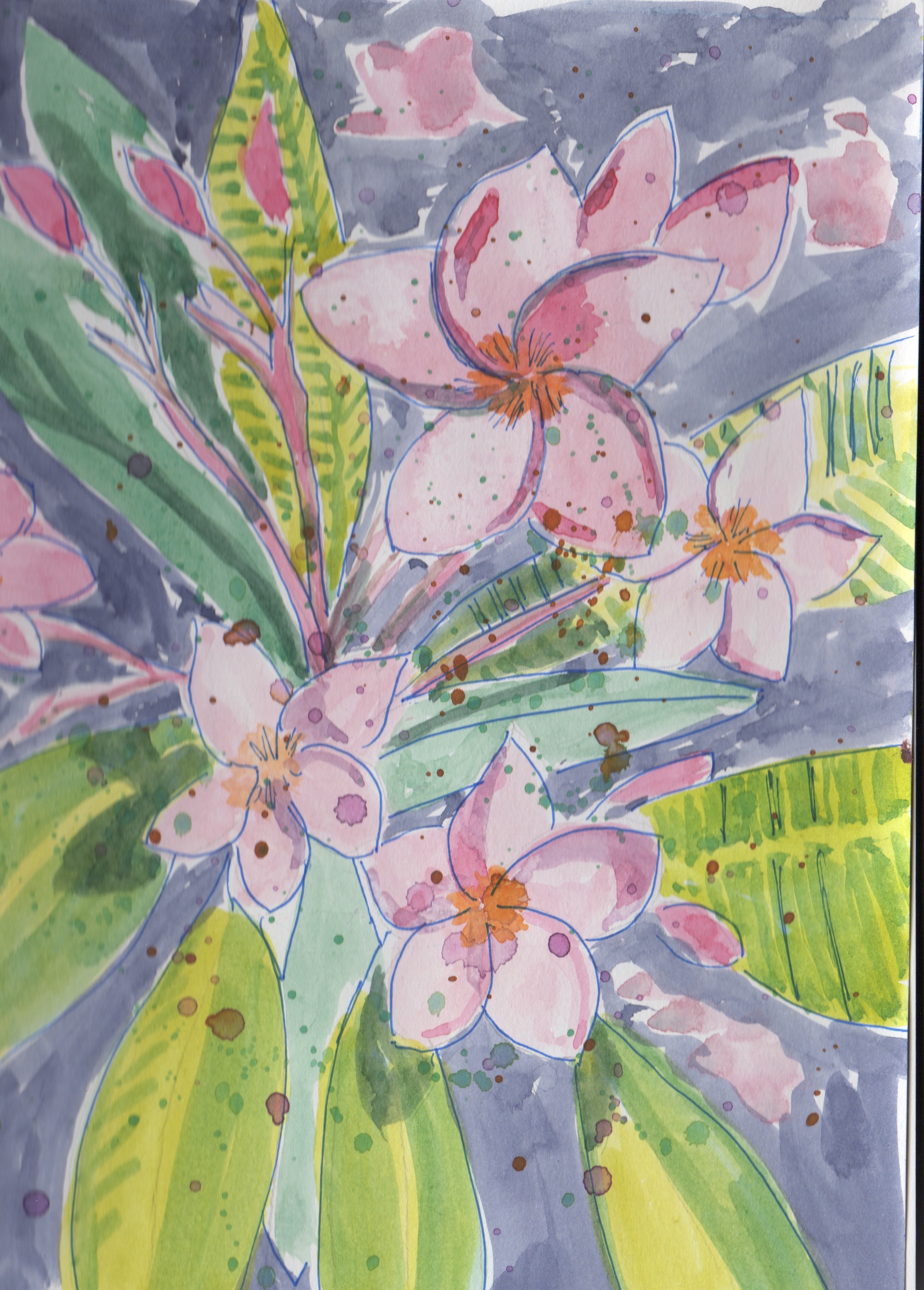 Plumeria, My Favorite Flower