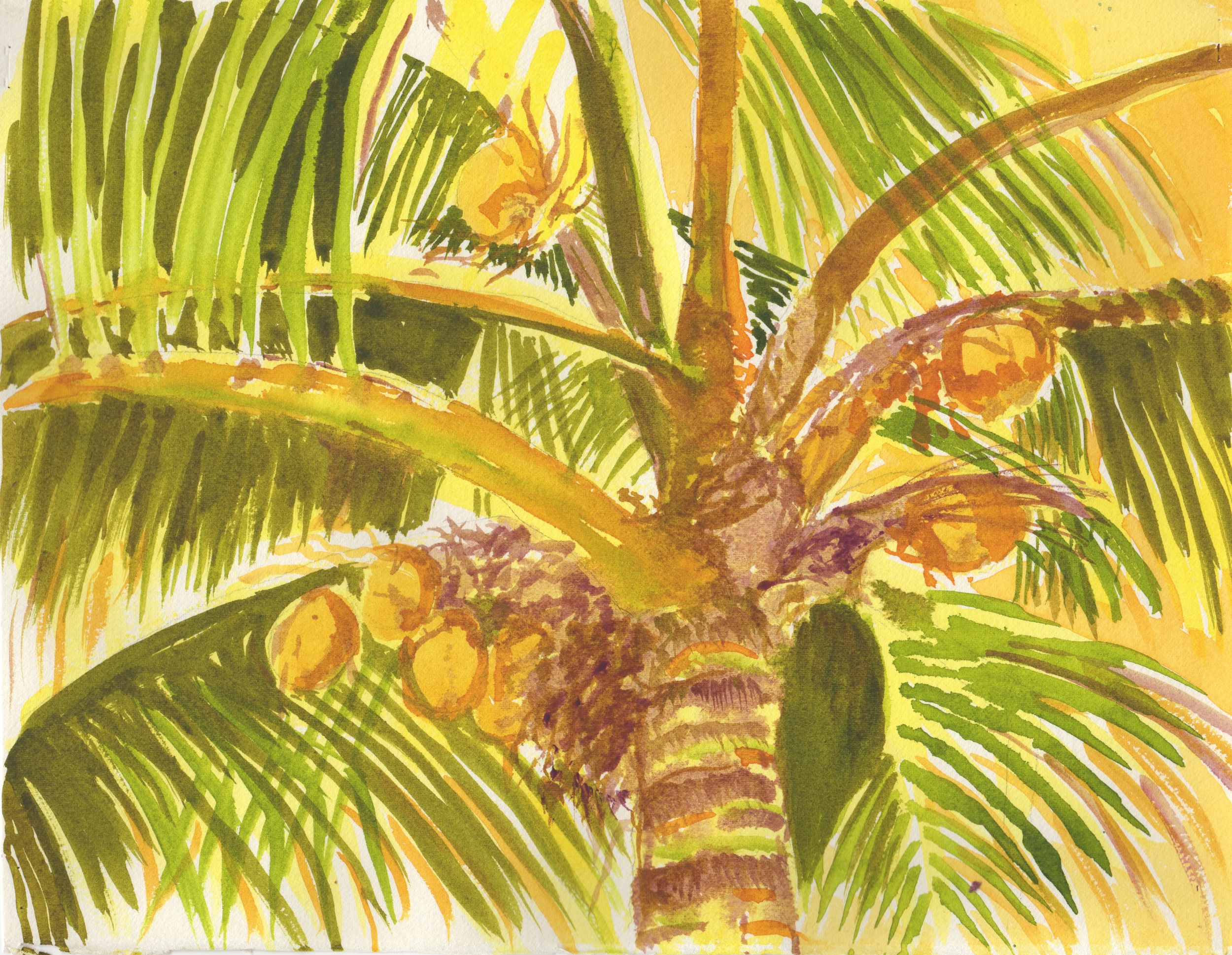Palm Study