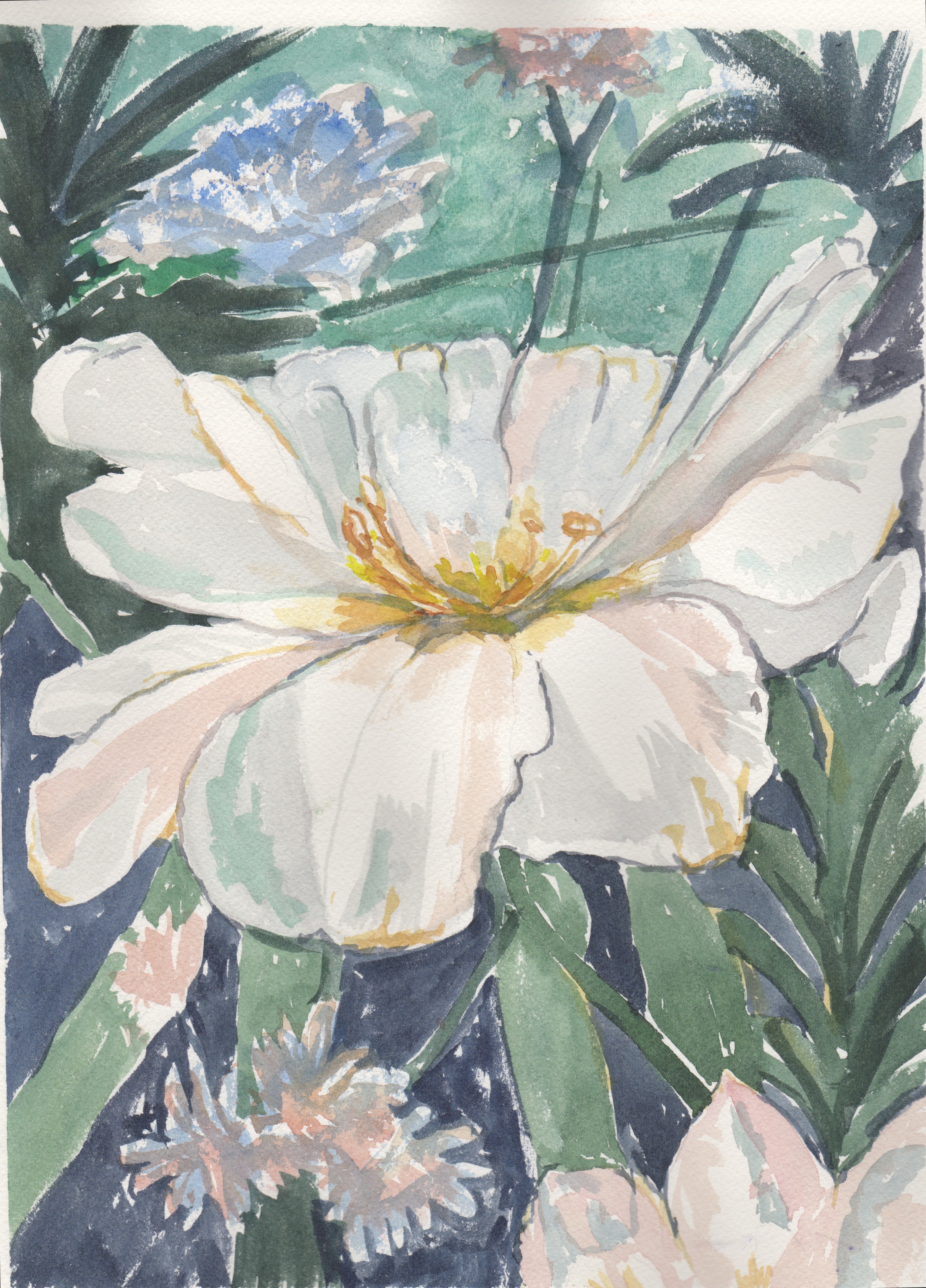 White Blossom 1.jpeg