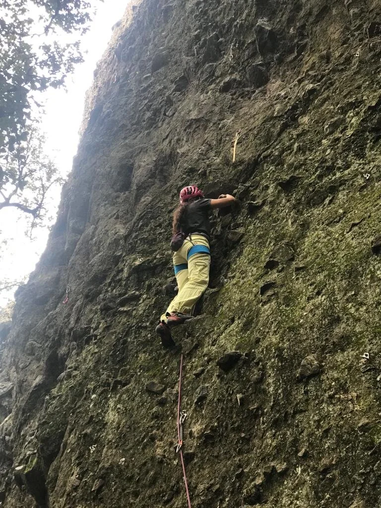 WhatsApp Image 2021-10-17 at 7.02.50 PM.jpeg