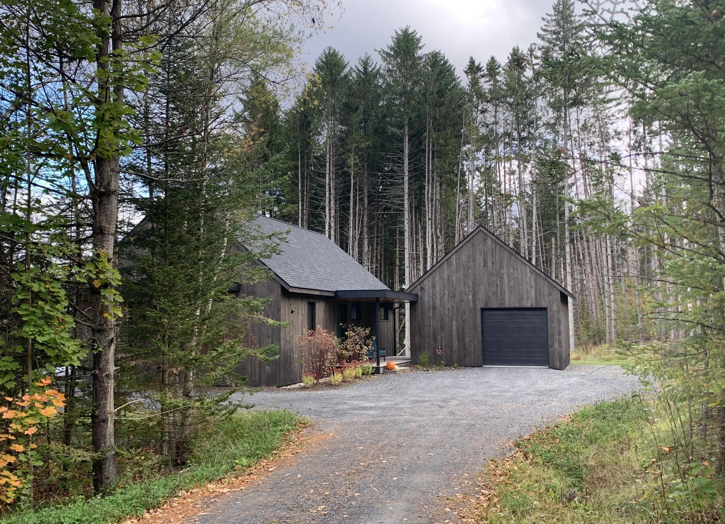 from driveway-jen.jpg