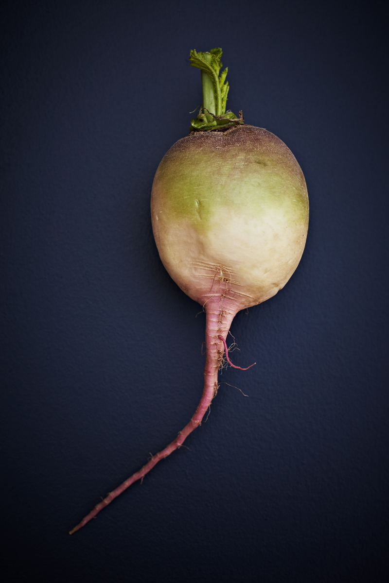 Radish.jpg