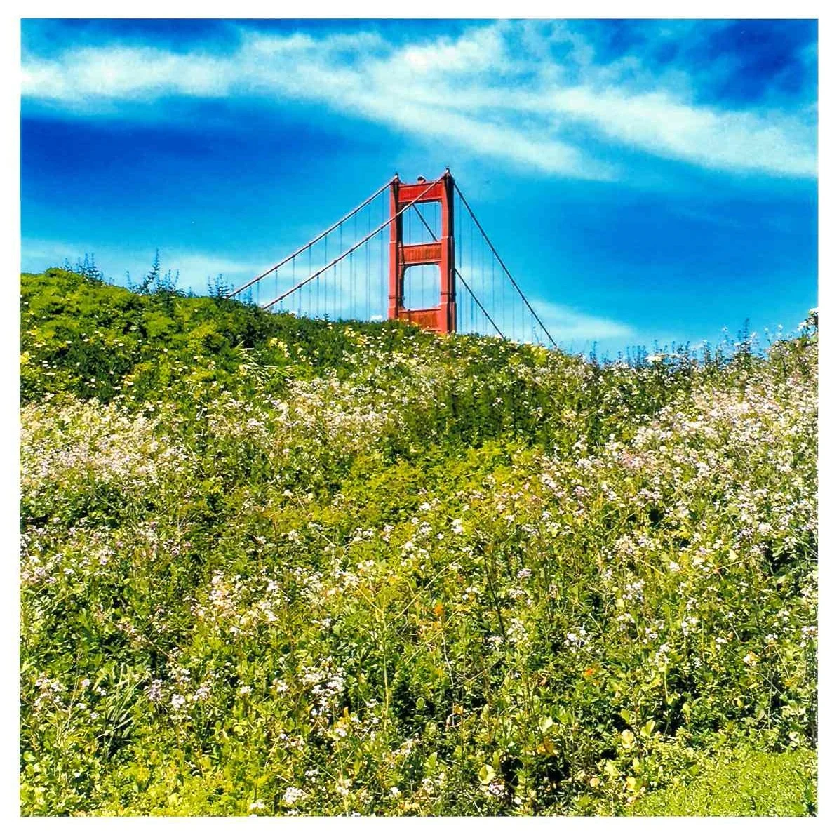 bridge.jpg