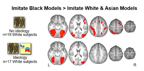 Losin et al. (2015) culture and brain