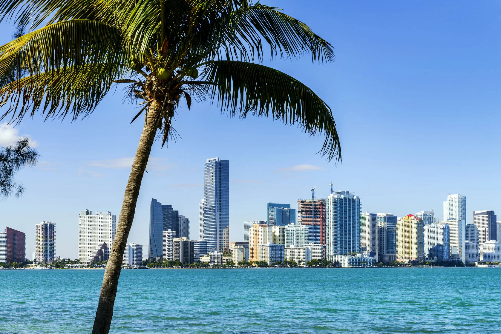 Miami_collage_20110330.jpg