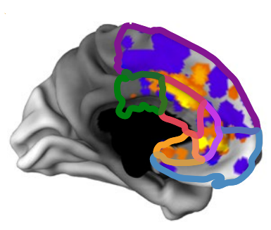 New Paper in Collaboration with CANLab and Others