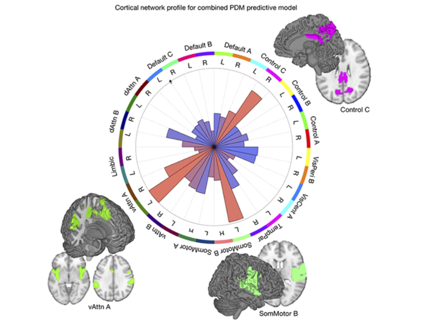 New collab paper from the SCN-Lab