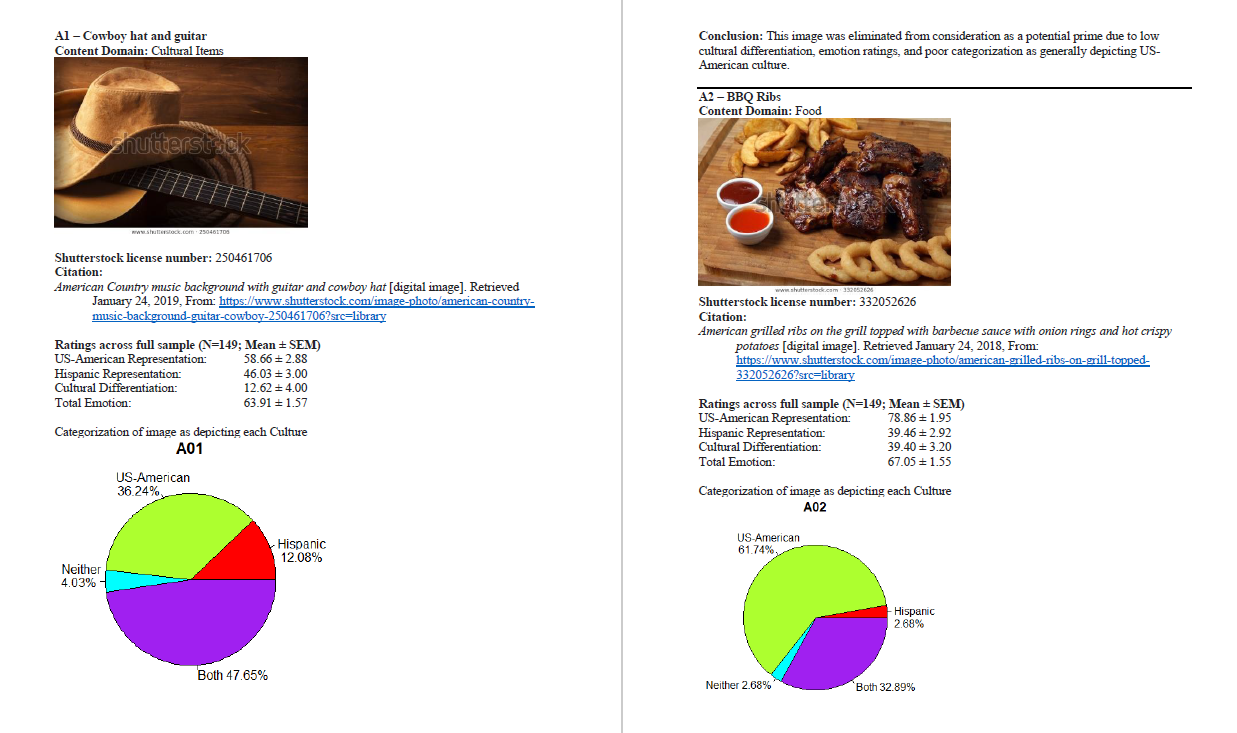  Morgan Gianola's Cultural Priming Image Paper Published!