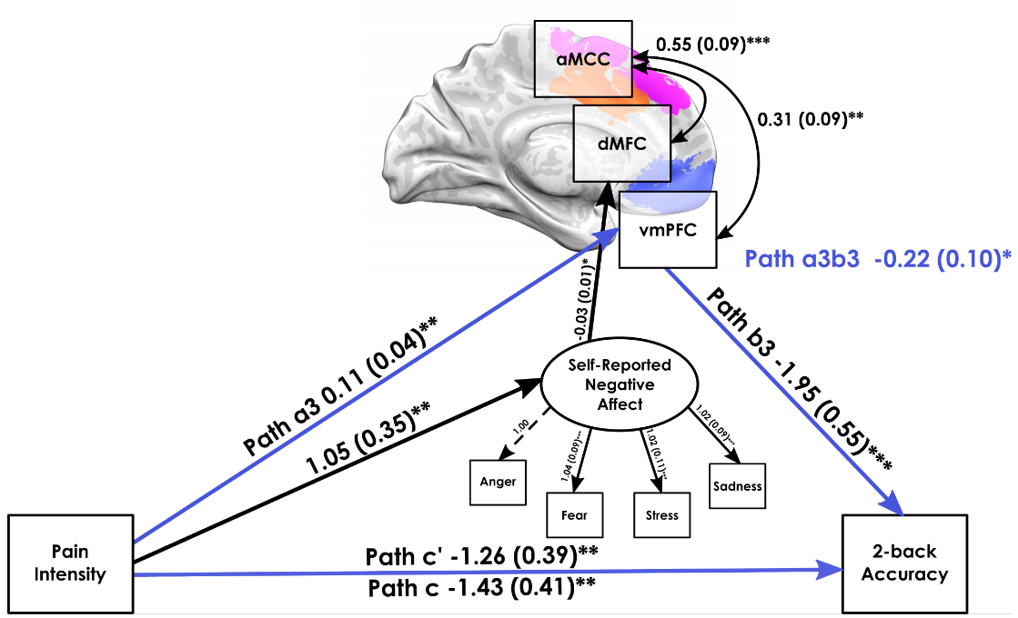 New Collaborative Paper Published Featuring UM CBN Ph.D. Graduates