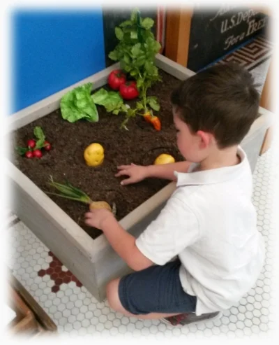 &nbsp; &nbsp; &nbsp; &nbsp; &nbsp; &nbsp; &nbsp; &nbsp; &nbsp; &nbsp; &nbsp; &nbsp; &nbsp; &nbsp;Gardening area for children inside a local shop.