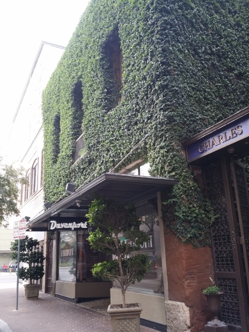 Where: San Antonio, TXWhen: November 2016Photo taken during Association for Preservation Technology International (APTI) conference in San Antonio. Vegetation gone Wild! While we certainly understand the green facade looks beautiful, this is somethi…