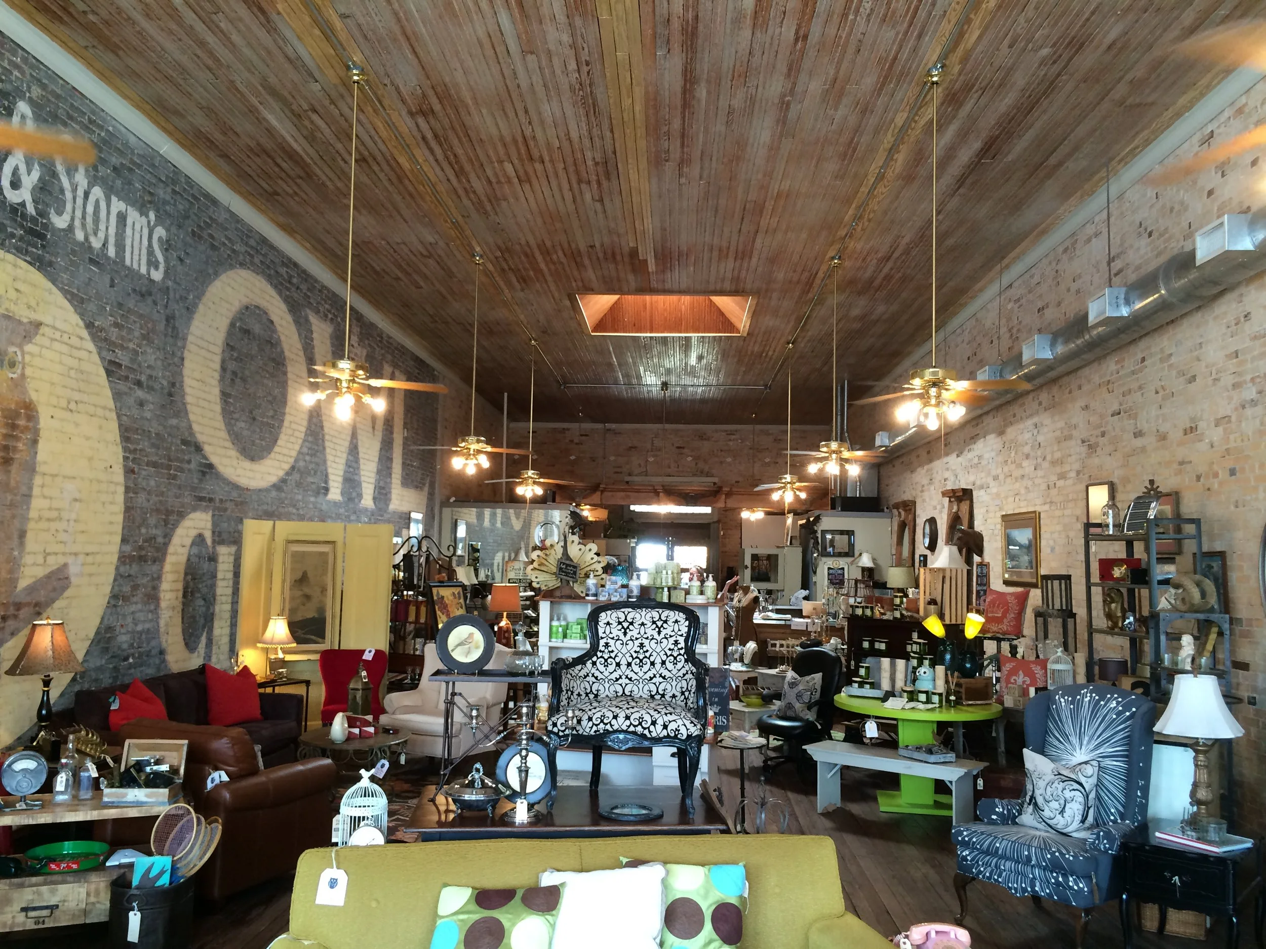 The Owl - Elgin