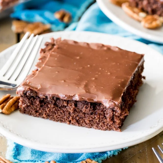 Texas-Sheet-Cake-1-of-1.jpg