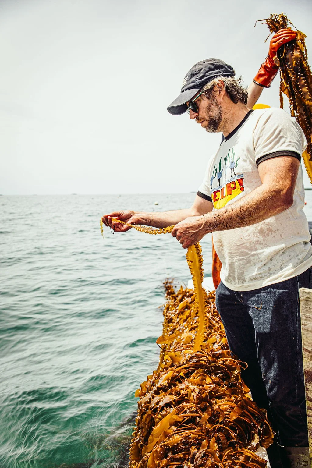Kelp_Harvest-8423.jpg