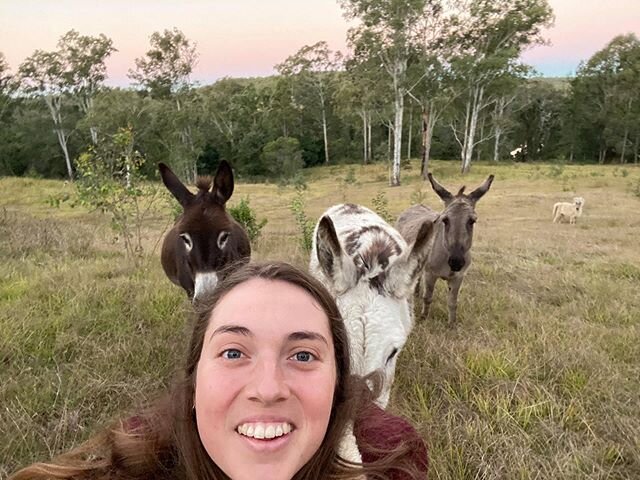 This lady here - she&rsquo;s not just a donkey wrangler, but she is also a tap dancing champion 🏆 💃🏼 AND she&rsquo;s an award-winning musician with a brand new single out! Search it on your favorite listening service: TULLARA, Let This Go 🥂 it&rs