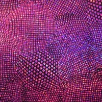 Texture Holo Purple on Black