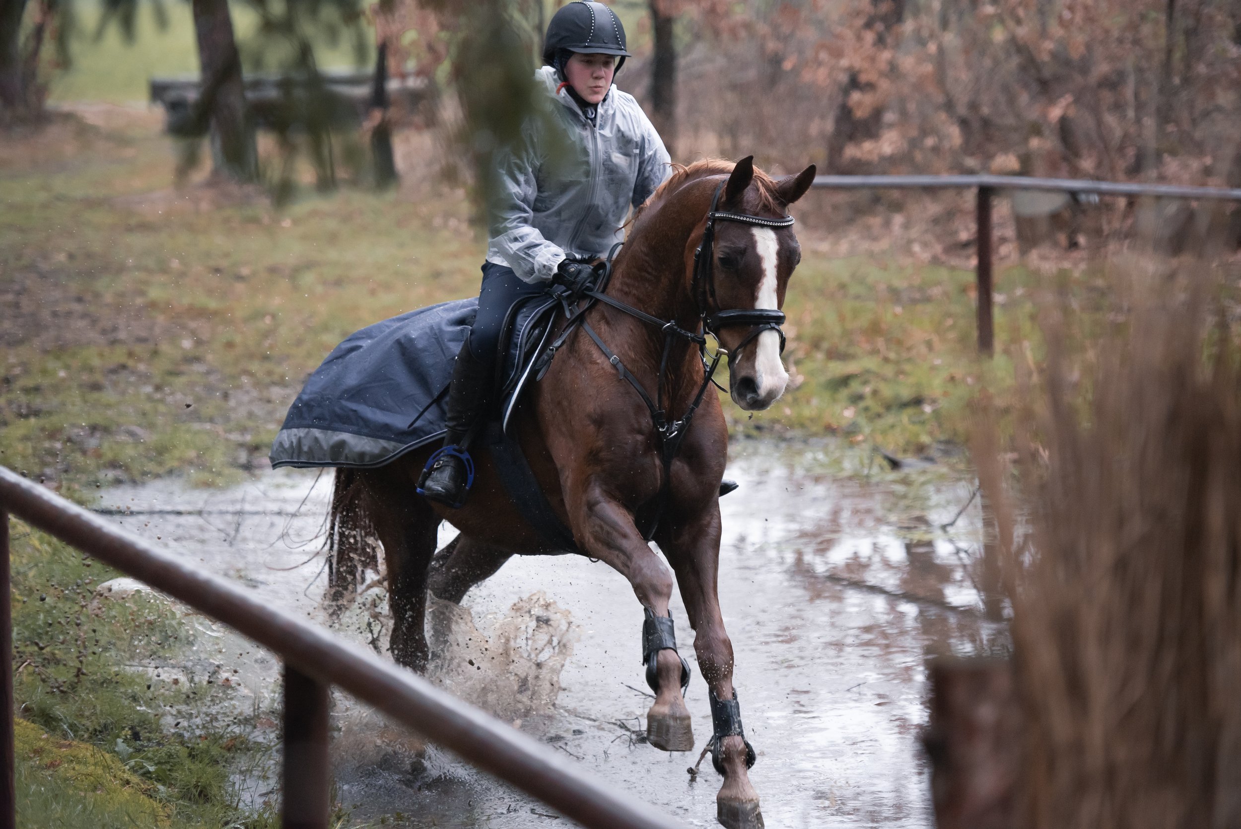 Изучение лошади. Дрессировка коня. Научить лошадь. Научить лошадь. Развязки для лошади.