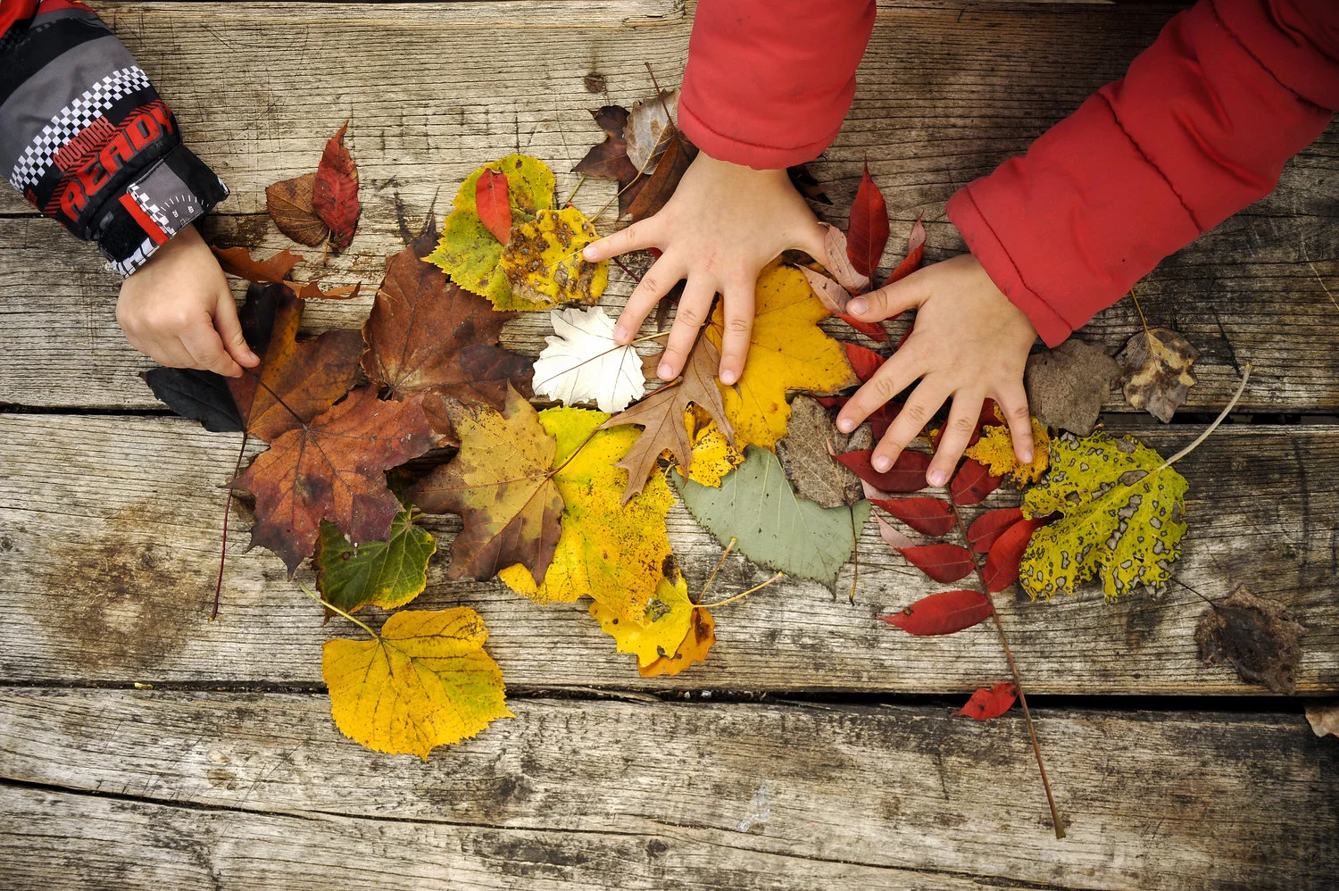 shutterstock_507180682.jpg
