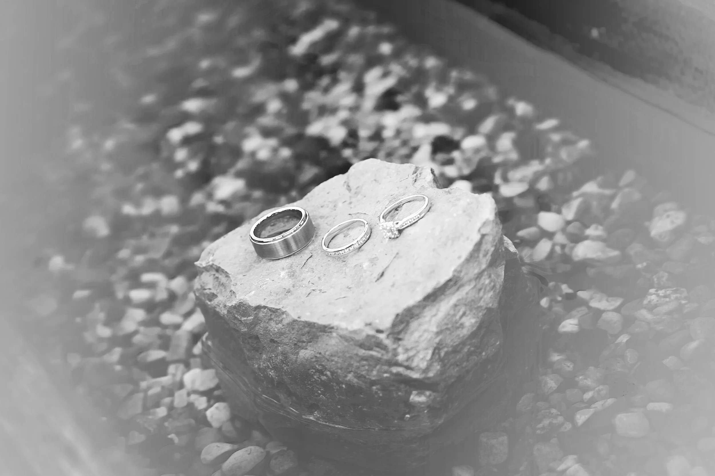 Edmonton Wedding Photos