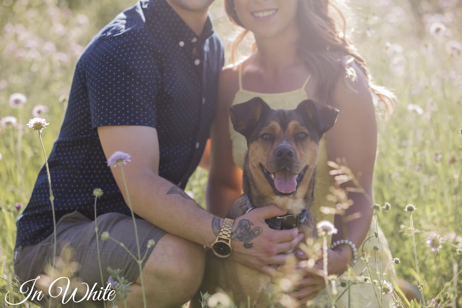 Couples Photography Edmonton