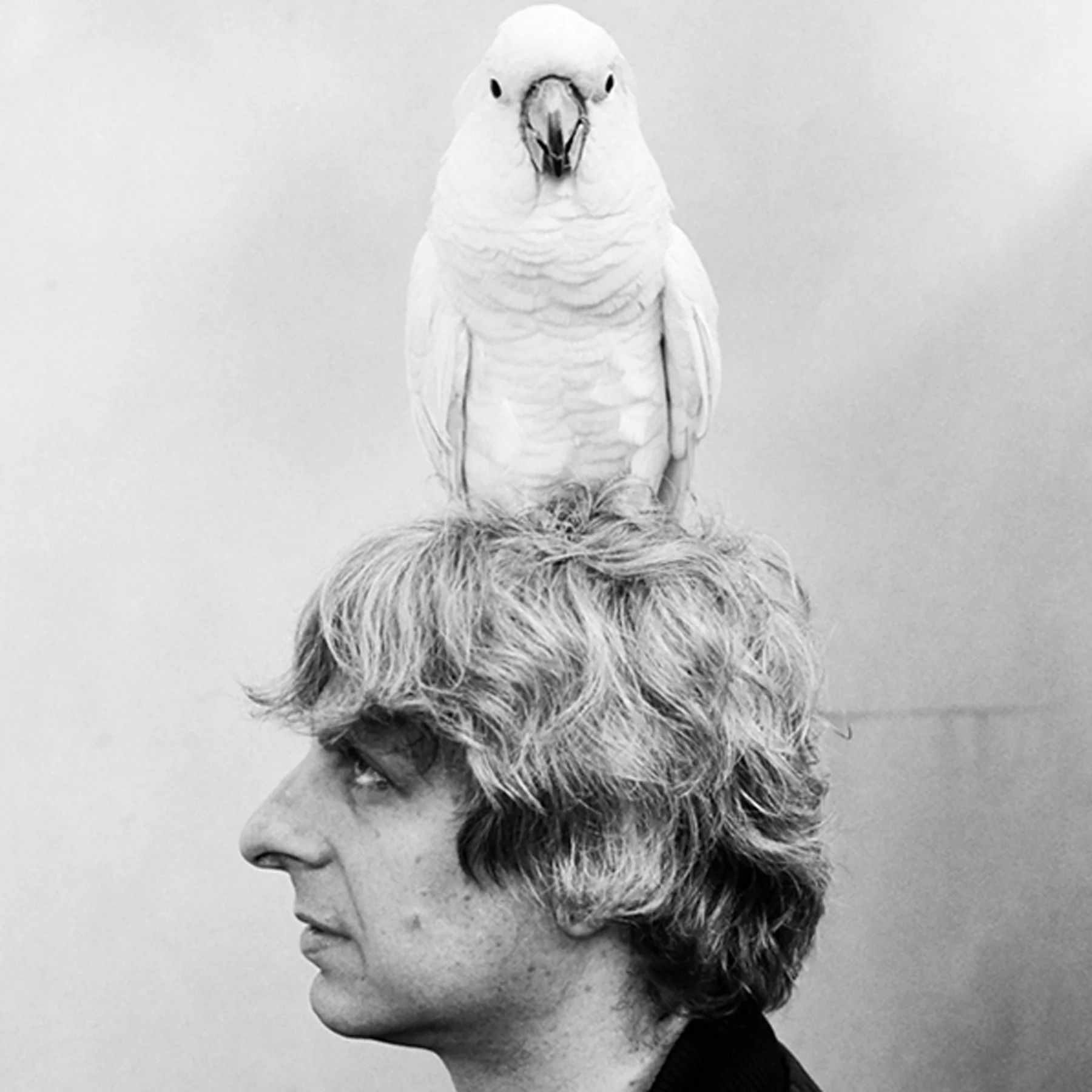 Mike Gordon of Phish Headshot.jpg