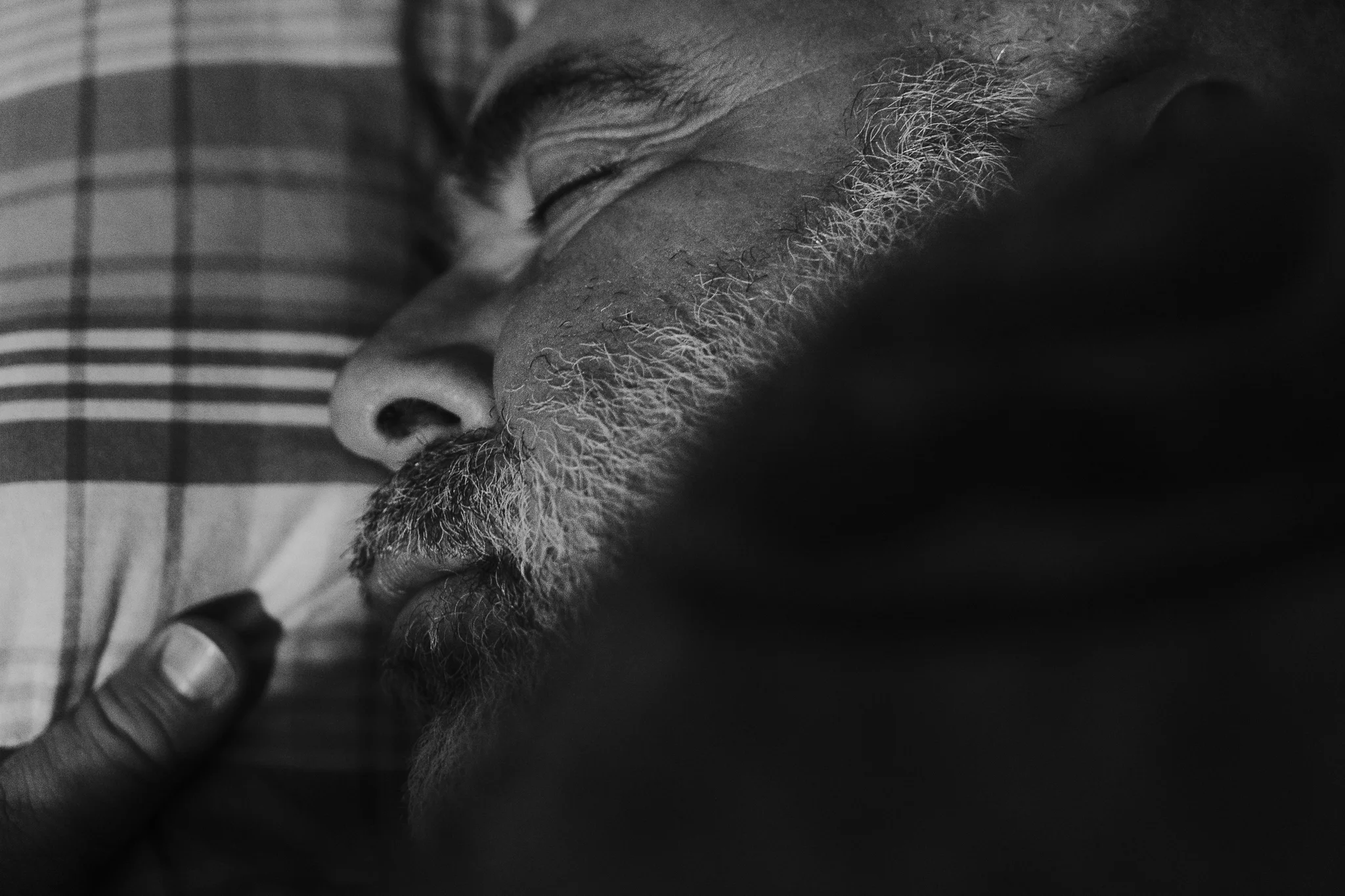 20161019-Nocturnal-180738.jpg