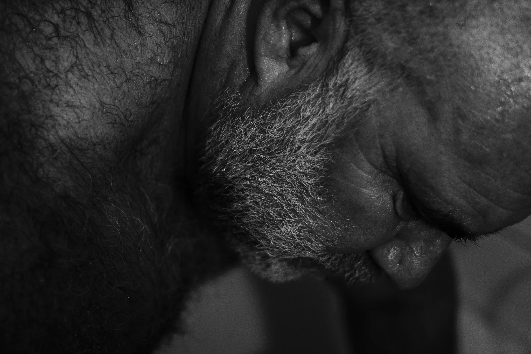 20161019-Nocturnal-190319.jpg