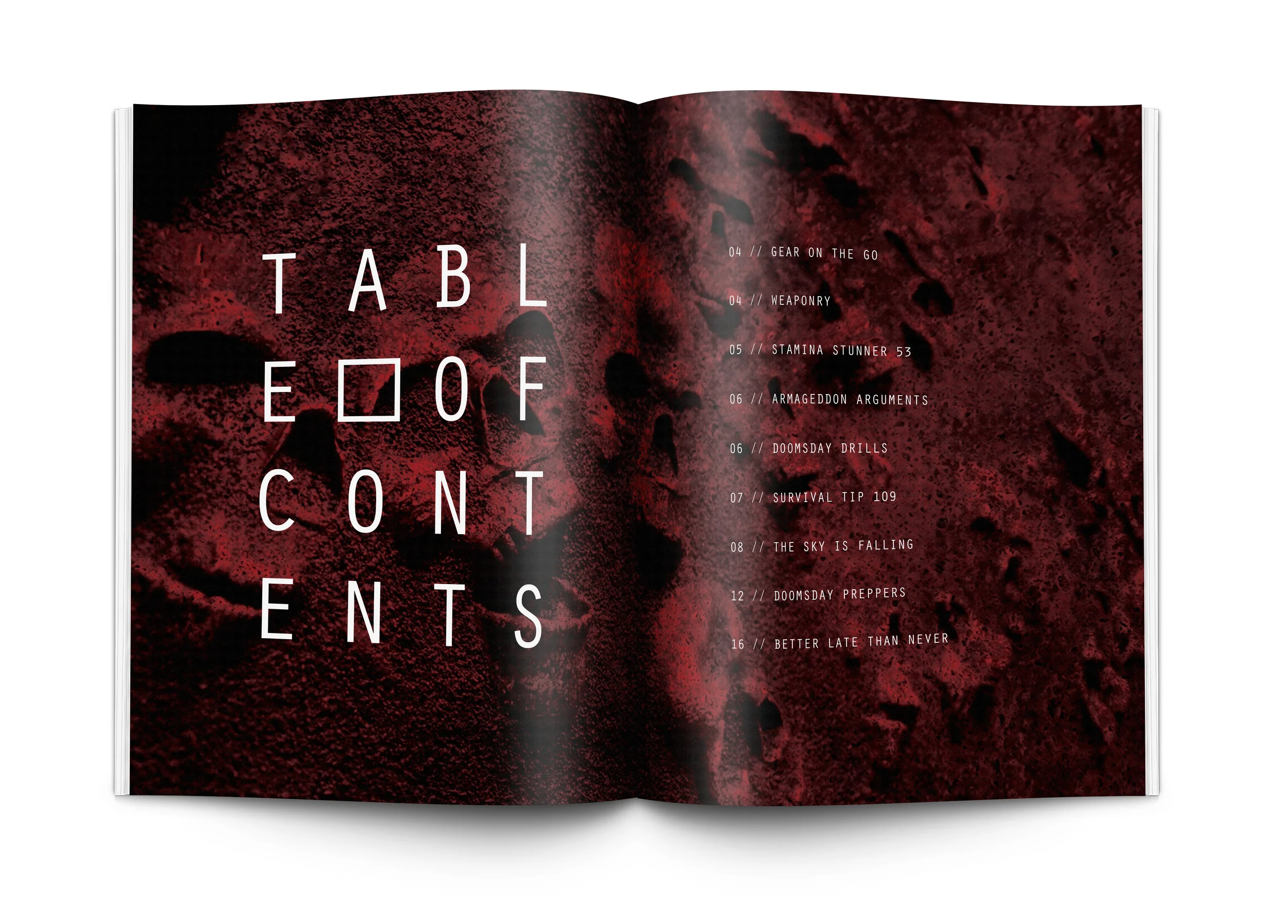 Magazine Mock Up_3.jpg