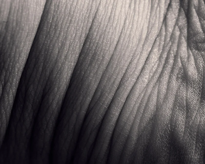 skin 5