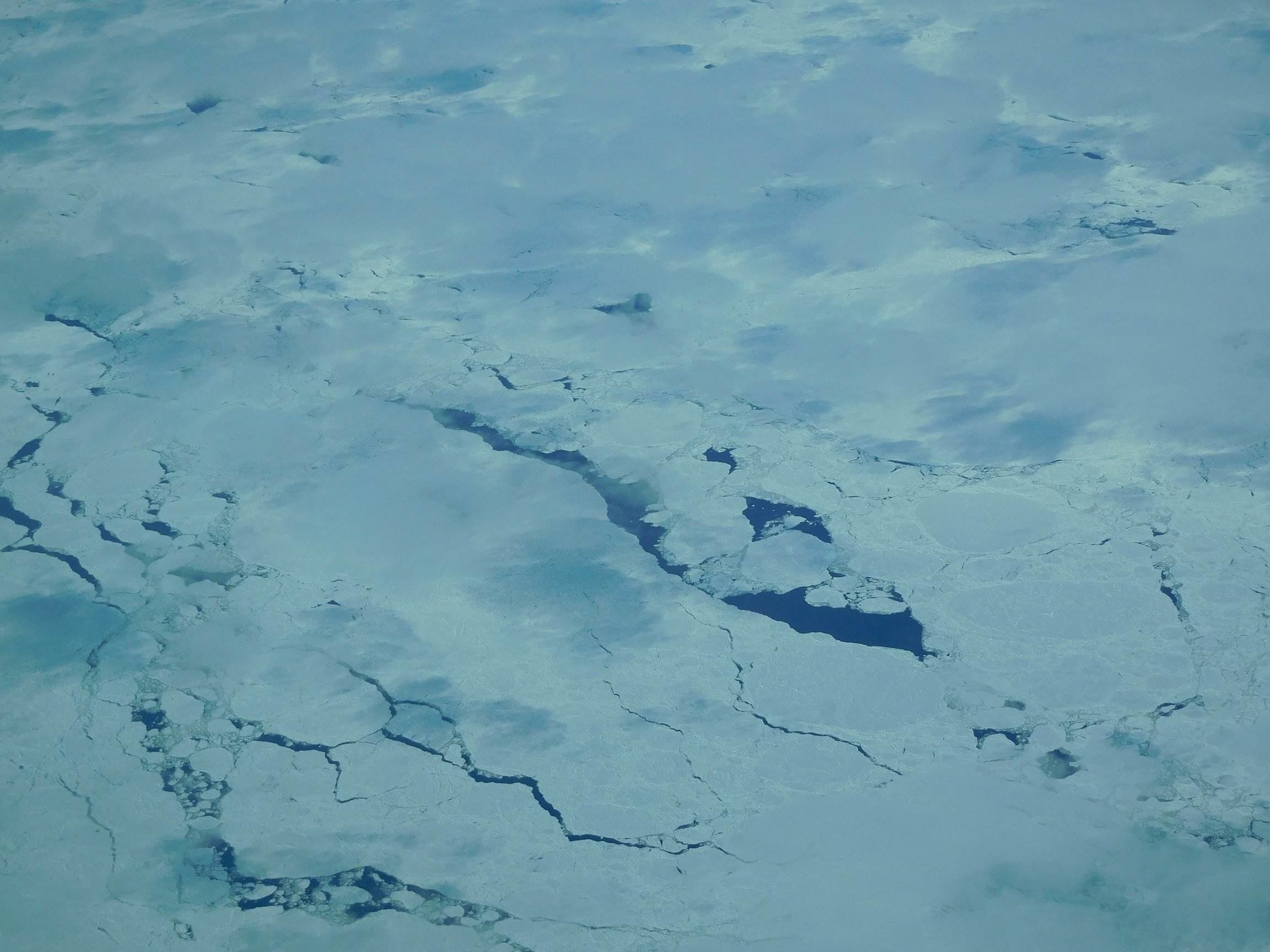 The pack ice in Hudson's Bay