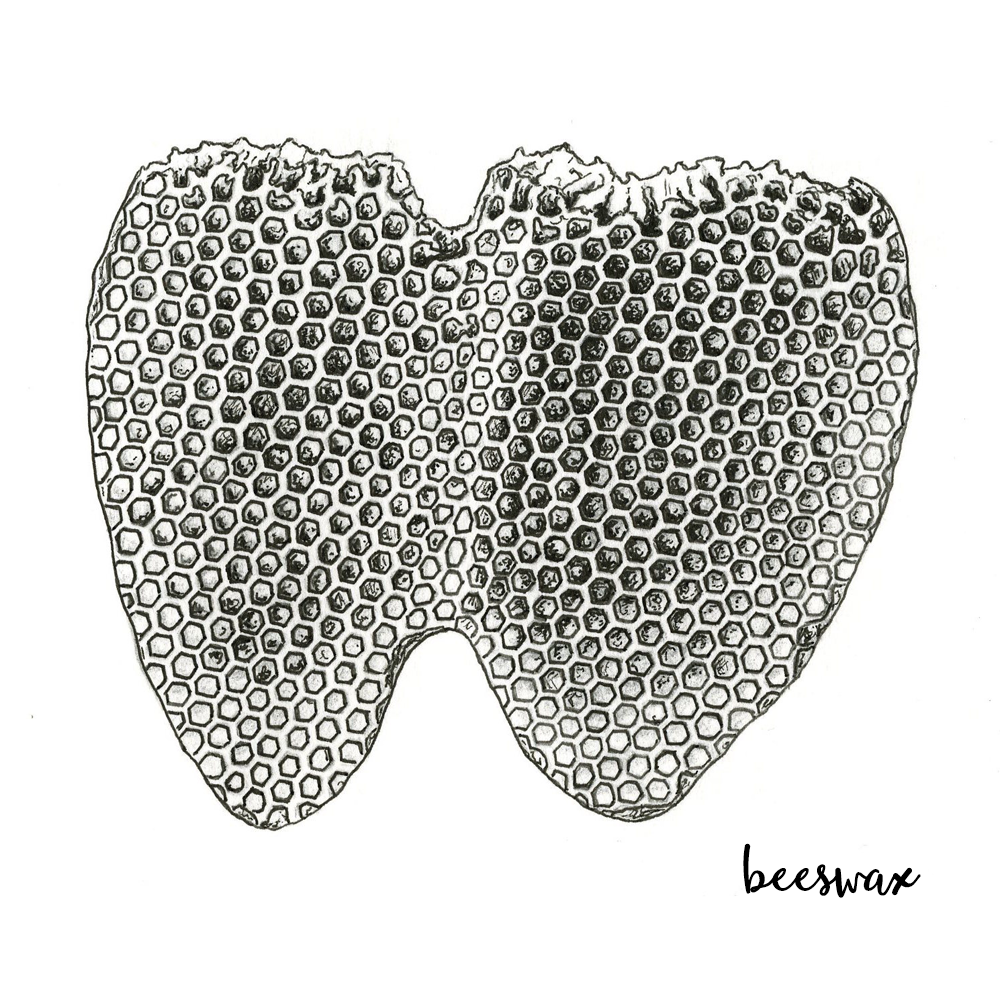 Beeswax.png