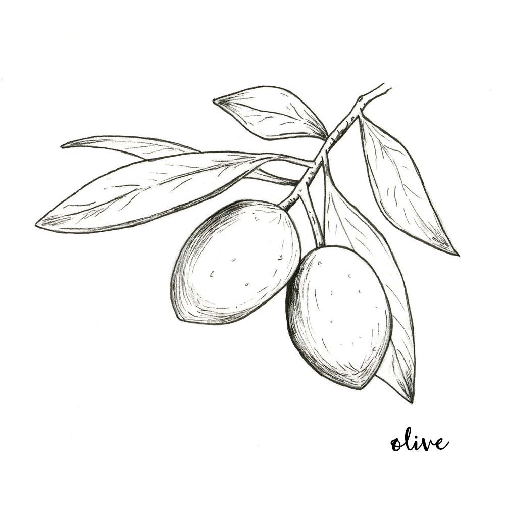 olive oil.png