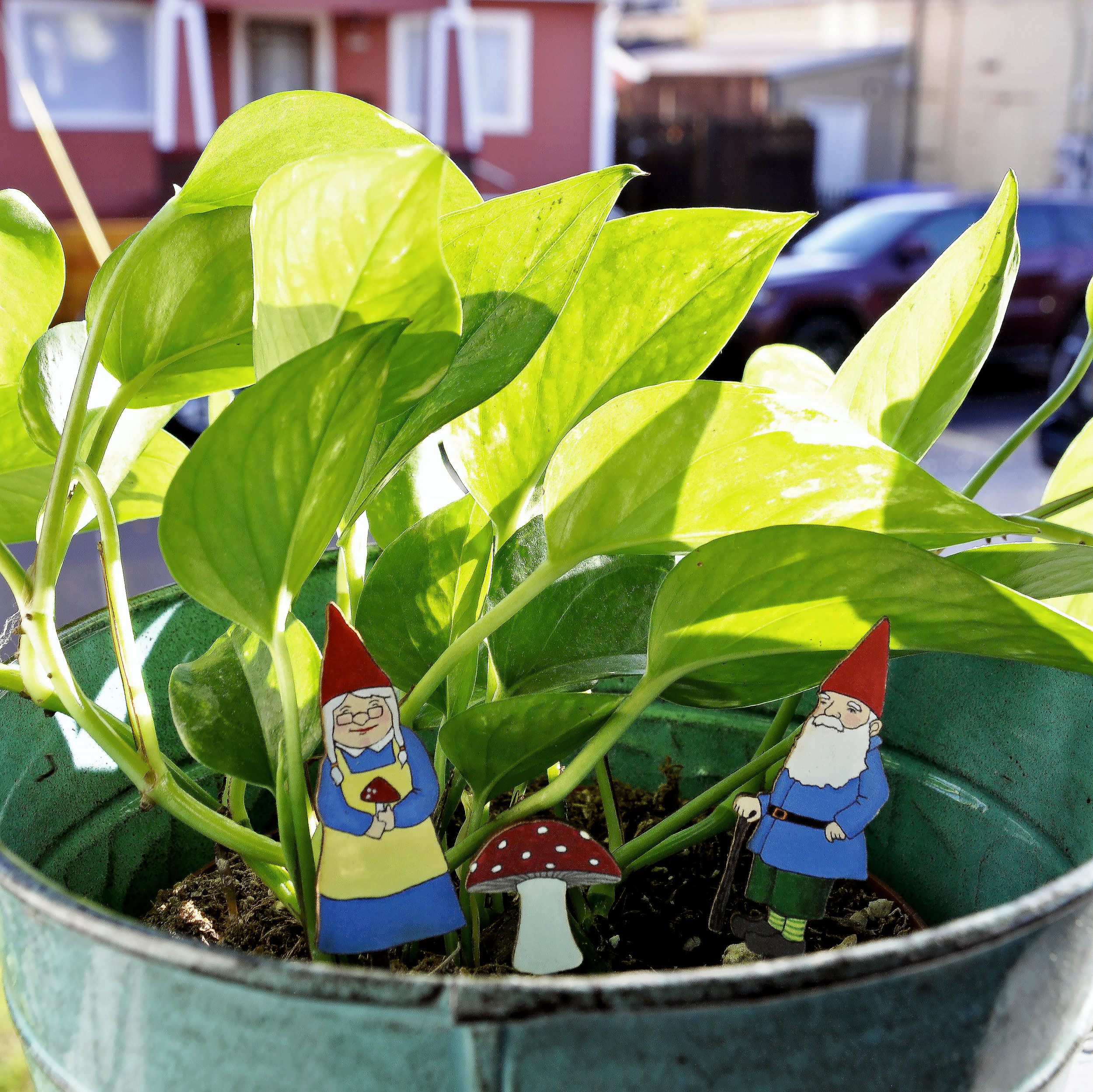 Garden Gnomes Fancy Plants Diorama Kit — 20 LEAGUES