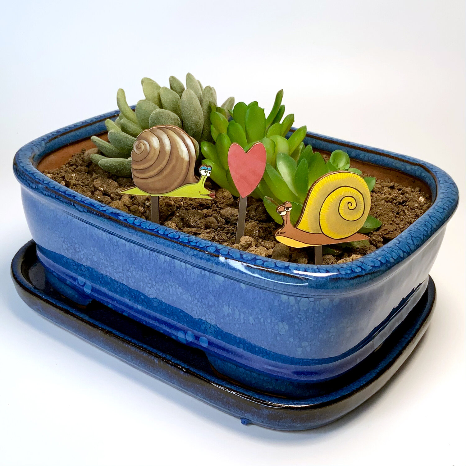 Snail Love Fancy Plants Diorama Kit — 20 LEAGUES