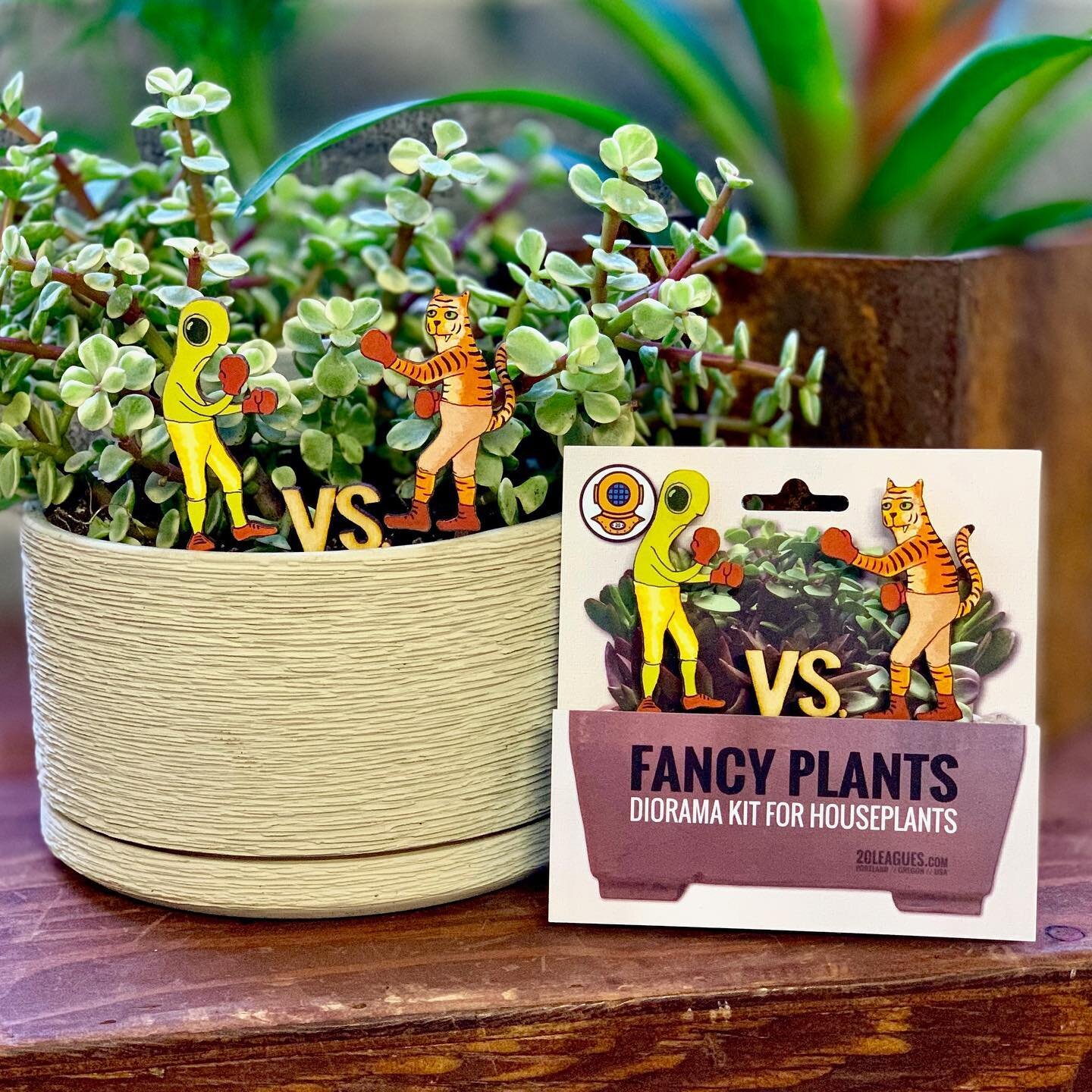 🤩🪴 Fancy that our fancy friends, it&rsquo;s Fancy Plants Friday once again! 🌱🤩
And it doesn&rsquo;t get any fancier than fancy pants on Fancy Plants, folks! Alien&rsquo;s green britches zhoosh up your plant with a look that&rsquo;s out-of-this-wo