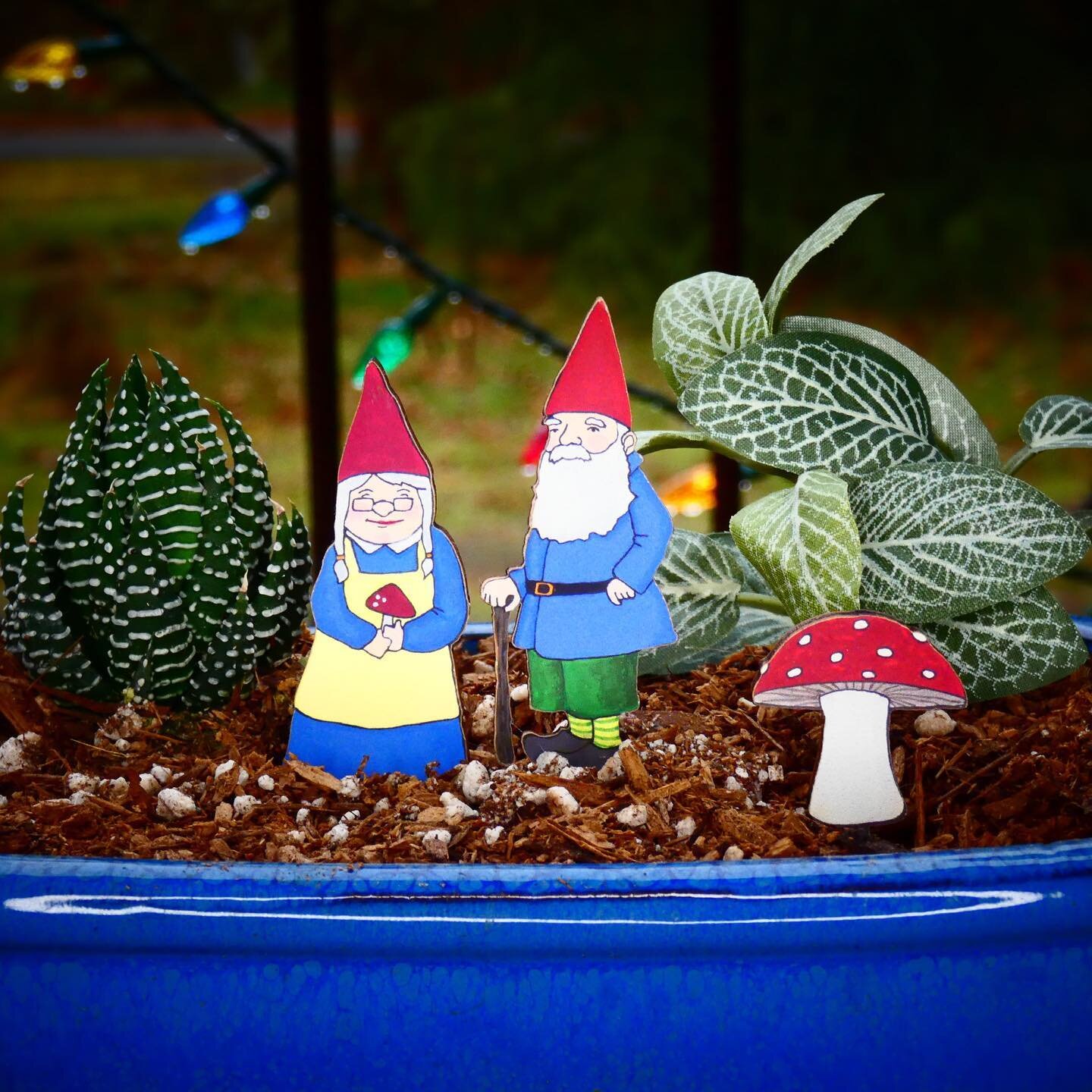 🤩🪴It&rsquo;s Fancy Plants Friday! And it&rsquo;s gonna be Hygggggggge&hellip;🌱🤩

🍄 There&rsquo;s no place like gnomes to feature mushroom-red toques with accents of blue and stripy green. It&rsquo;s the fresh take on a classic look sure to make 